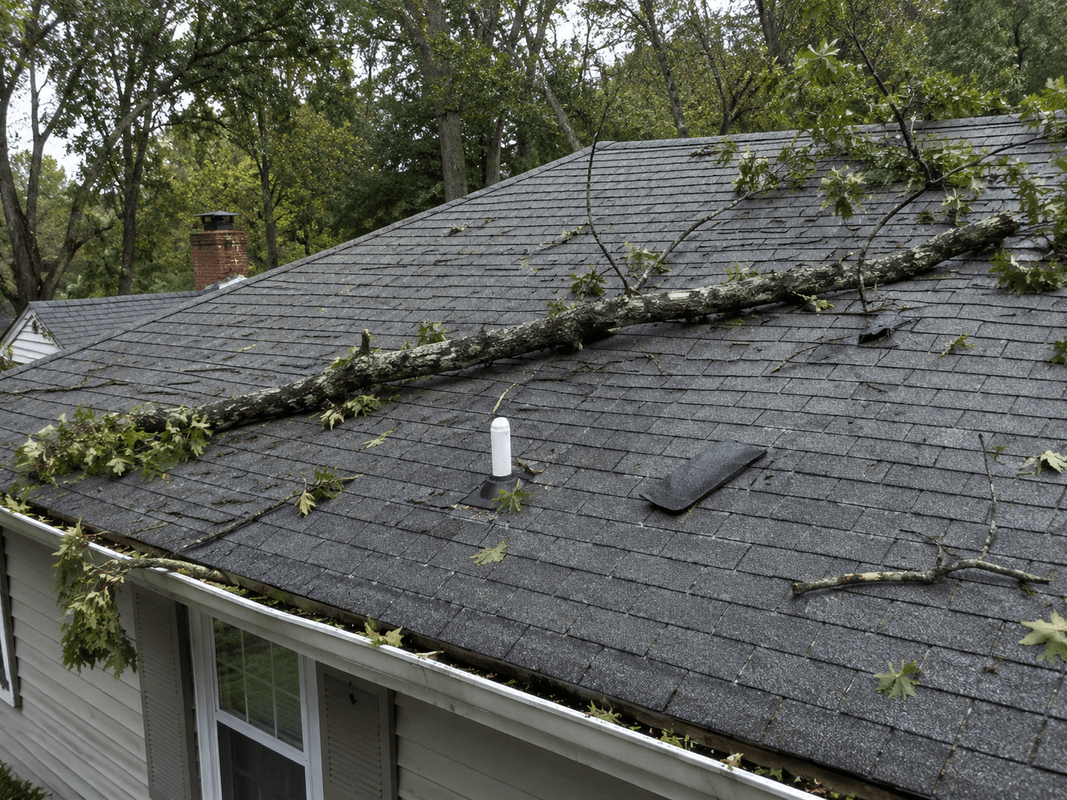 storm damage roof inspection in clinton ct with tree limb roof damage